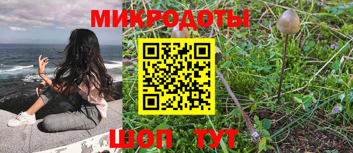 Псилоцибиновые грибы прущие грибы Асино