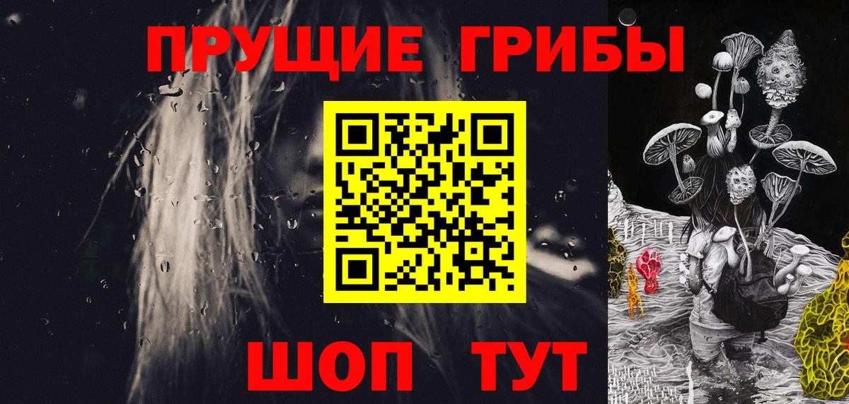 Асино  Псилоцибиновые грибы мухоморы  купить  сайты  Вход с VPN 